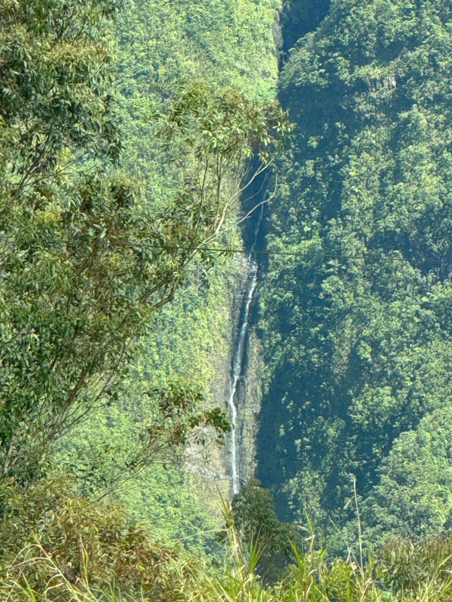 Le Studio Leva La Plaine des Palmistes Buitenkant foto